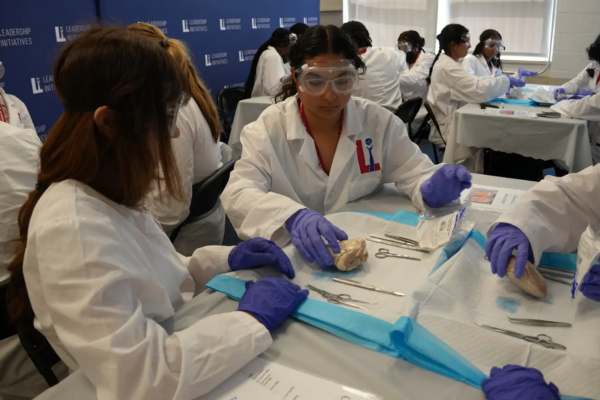 S3_Esmeralda_Ponce Castrejon_Skill