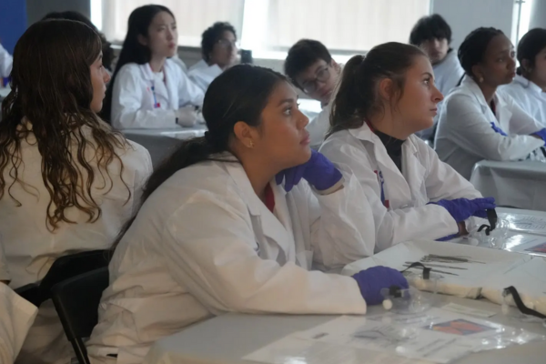 S3_Kylee_Boice_Skill