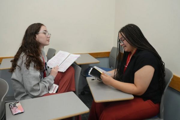 S3_Linnea_Wilson_Skill