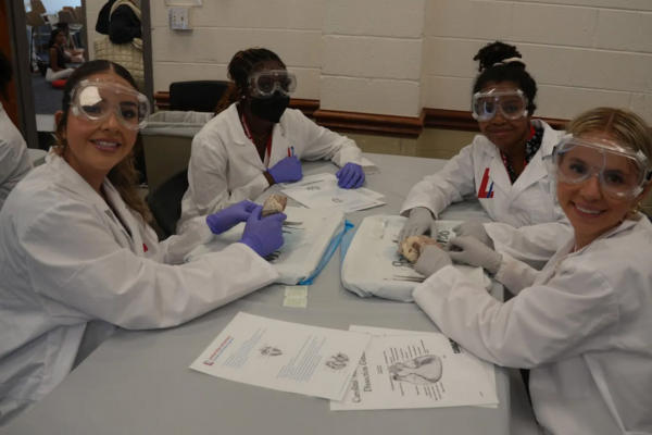 S3_Veronica_Jimenez_Skill