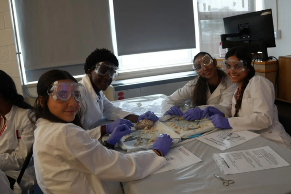 S3_Zaineb_Khan_Skill