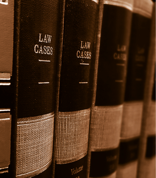 law highlights